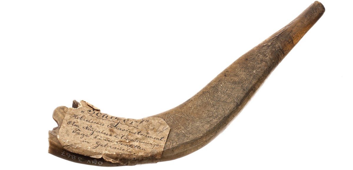 : Schofar | Floridsdorf; 19. Jh.; Widderhorn (?), geschnitten, geritzt | Foto: Paul Prader (c) Österreichisches Museum für Volkskunde, Wien