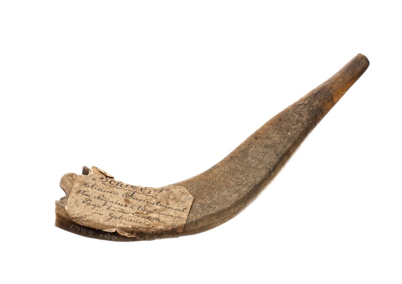 : Schofar | Floridsdorf; 19. Jh.; Widderhorn (?), geschnitten, geritzt | Foto: Paul Prader (c) Österreichisches Museum für Volkskunde, Wien