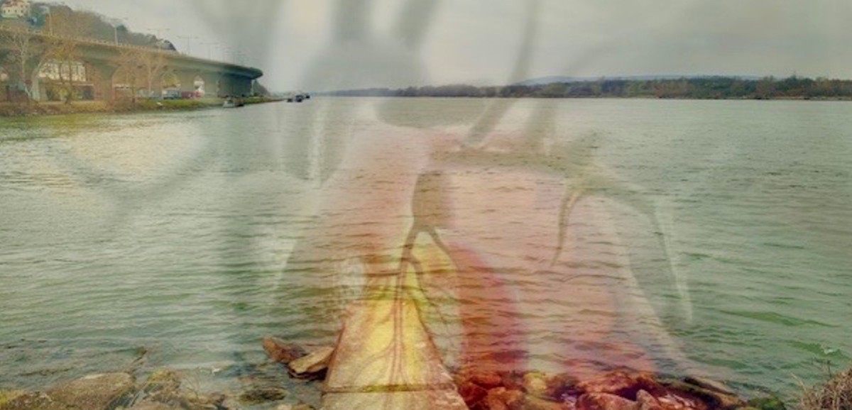 : Liquid Journeys mit Sabina Holzer, Foto: Sabina Holzer