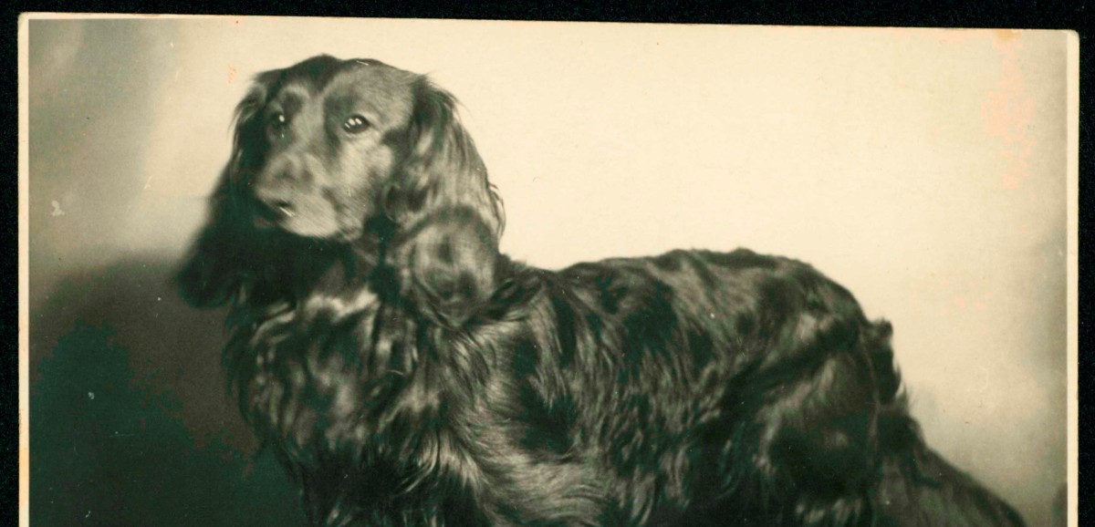 : Fotografie eines Dackels. Rückseitig beschriftet: "Lumpi 1942". (Archiv Tietjen)