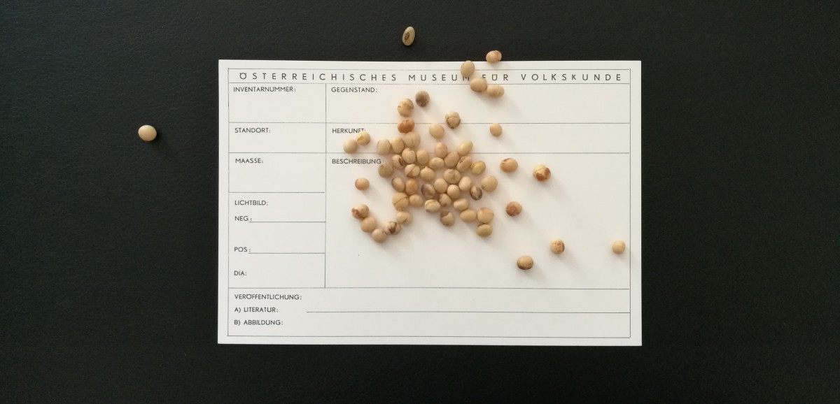 : Die Soja-Bohne im Volkskundemuseum Wien und darüber hinaus © Volkskundemuseum Wien