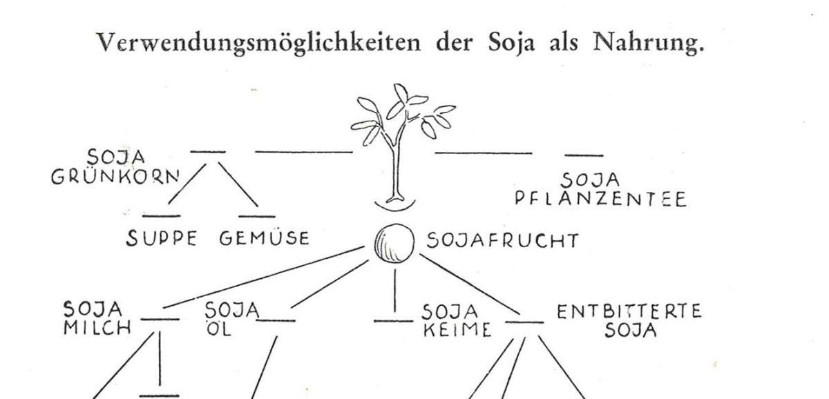 : Verwendungsmöglichkeiten der Soja als Nahrung; In: Friedl Brillmayer und Henriette v. Cornides: Wiener Soja-Küche, Wien 1948, S. 67.